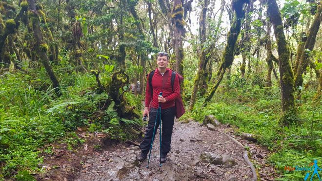 An Ultimate Guide To Machame Route In Kilimanjaro day-by-day itinerary in my experience 1