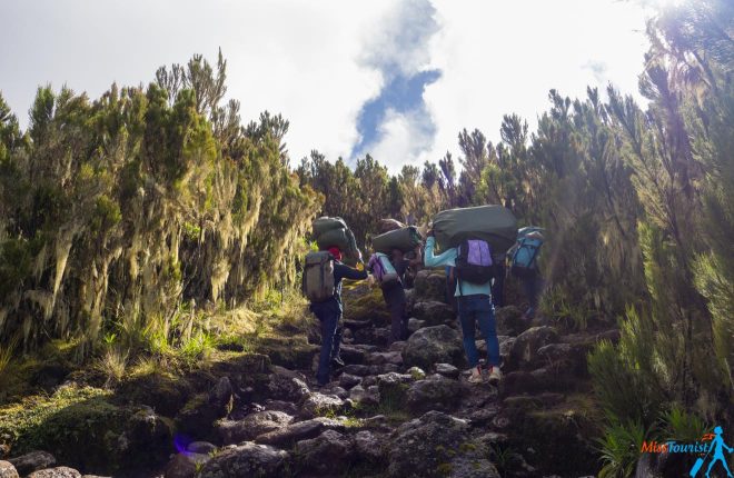 Kilimanjaro Hike – 7 Crucial Things to Know Before You Go