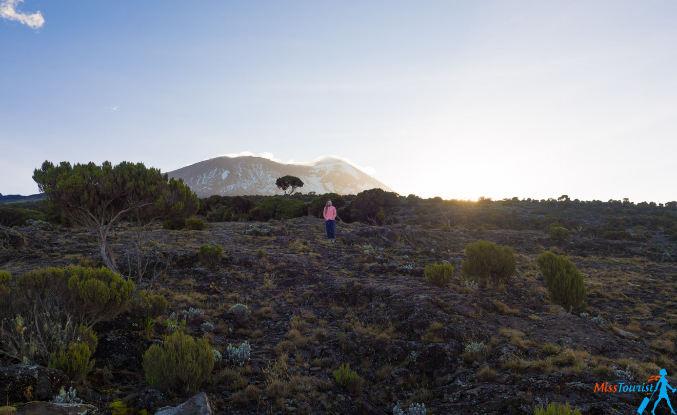 Climbing Kilimanjaro – 7 Things You Should Know Before You Go 19