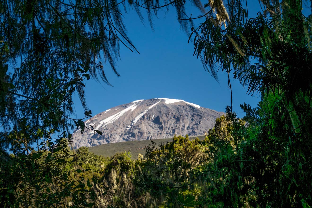 Climbing Kilimanjaro – 7 Things You Should Know Before You Go 55