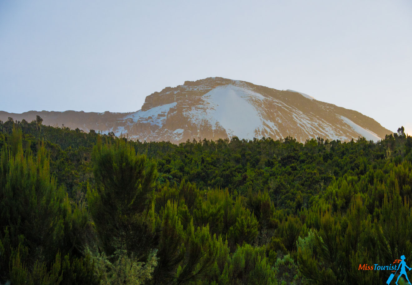 Climbing Kilimanjaro – 7 Things You Should Know Before You Go 10