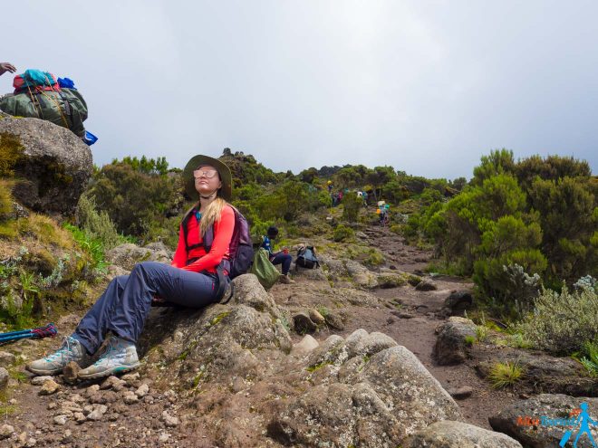 Climbing Kilimanjaro – 7 Things You Should Know Before You Go 15