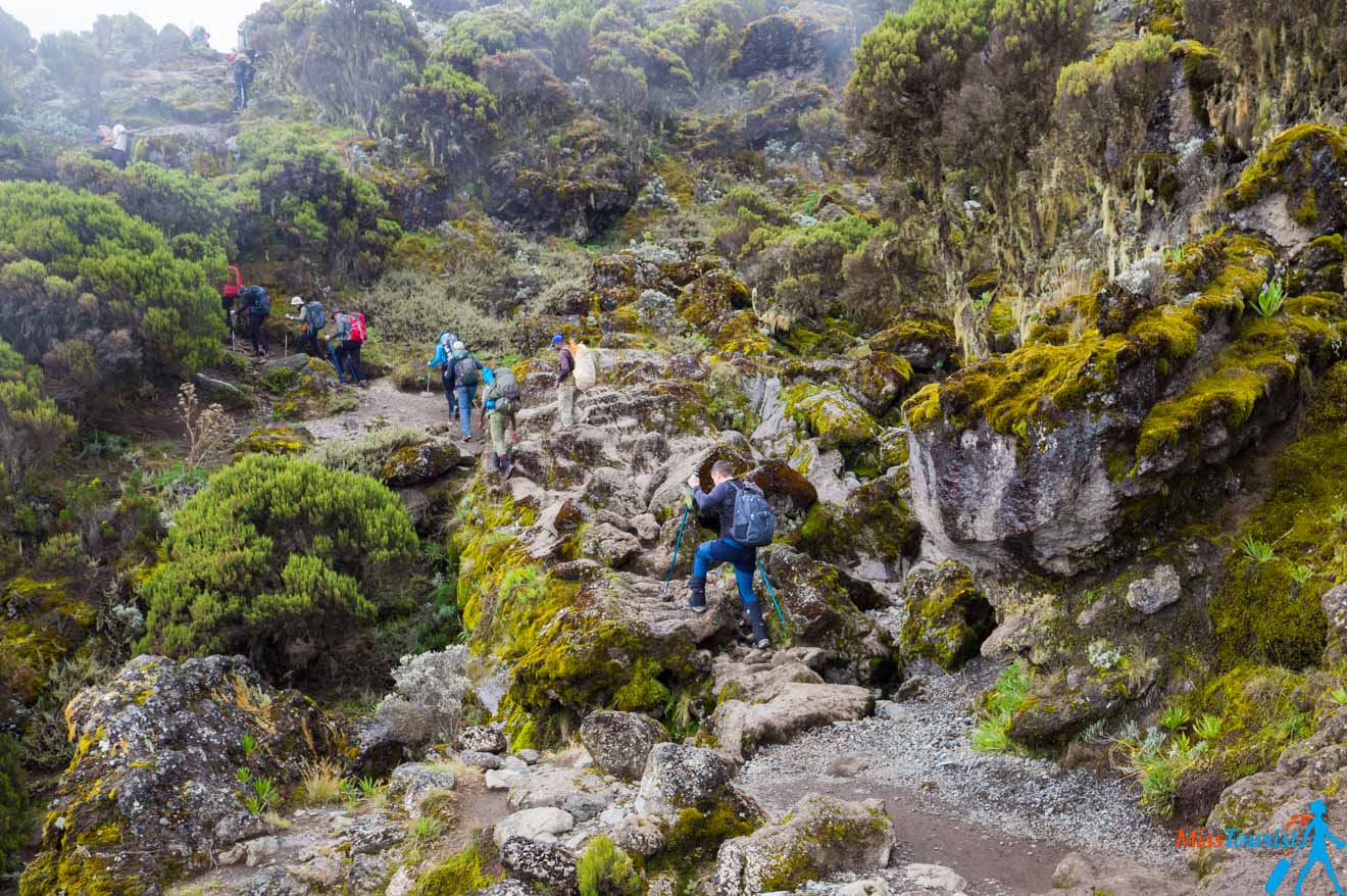 Climbing Kilimanjaro – 7 Things You Should Know Before You Go 17