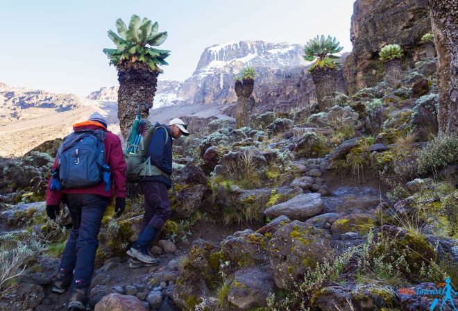 Climbing Kilimanjaro – 7 Things You Should Know Before You Go 28
