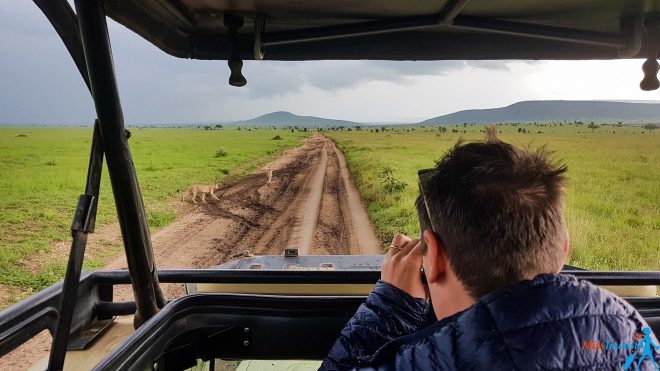 How To Plan A Perfect Safari In Tanzania – 7 Things You Need To Know 30