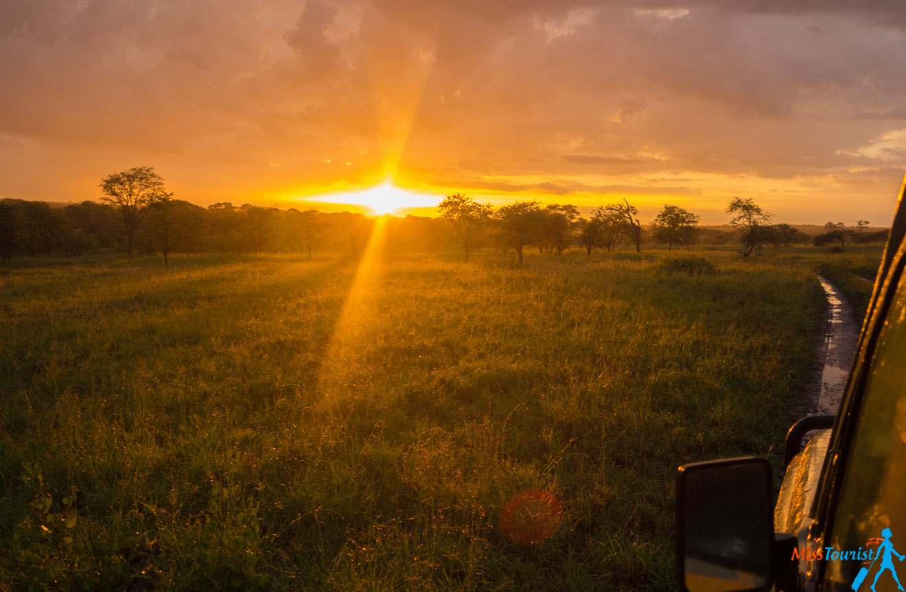 How To Plan A Perfect Safari In Tanzania – 7 Things You Need To Know 34