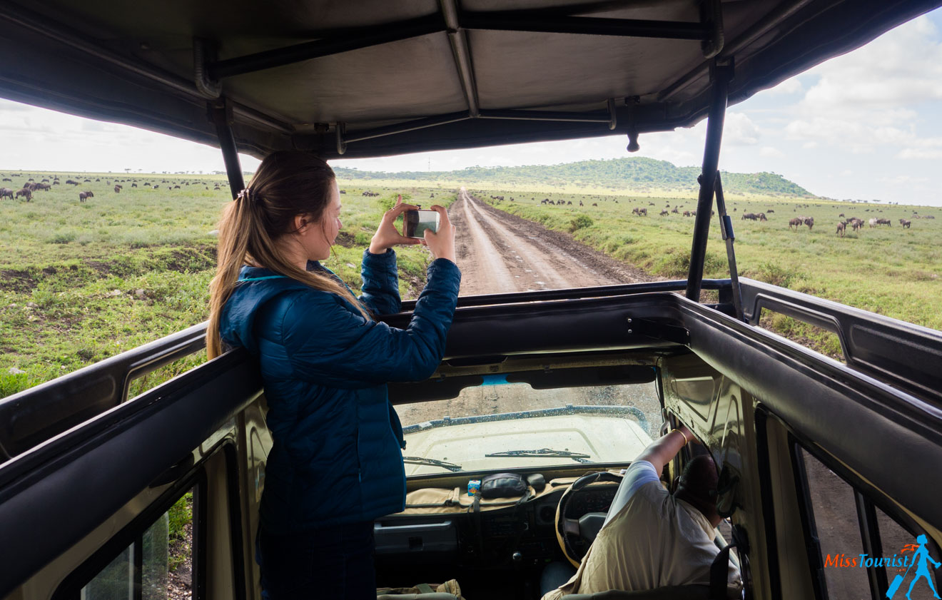 How To Plan A Perfect Safari In Tanzania – 7 Things You Need To Know 6