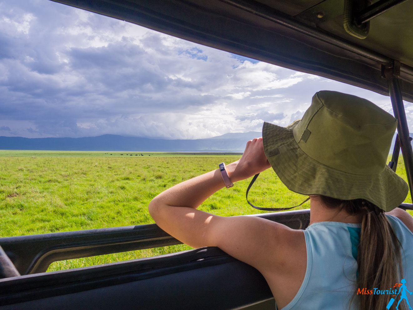 How To Plan A Perfect Safari In Tanzania – 7 Things You Need To Know my experience