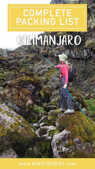 mount kilimanjaro landscape