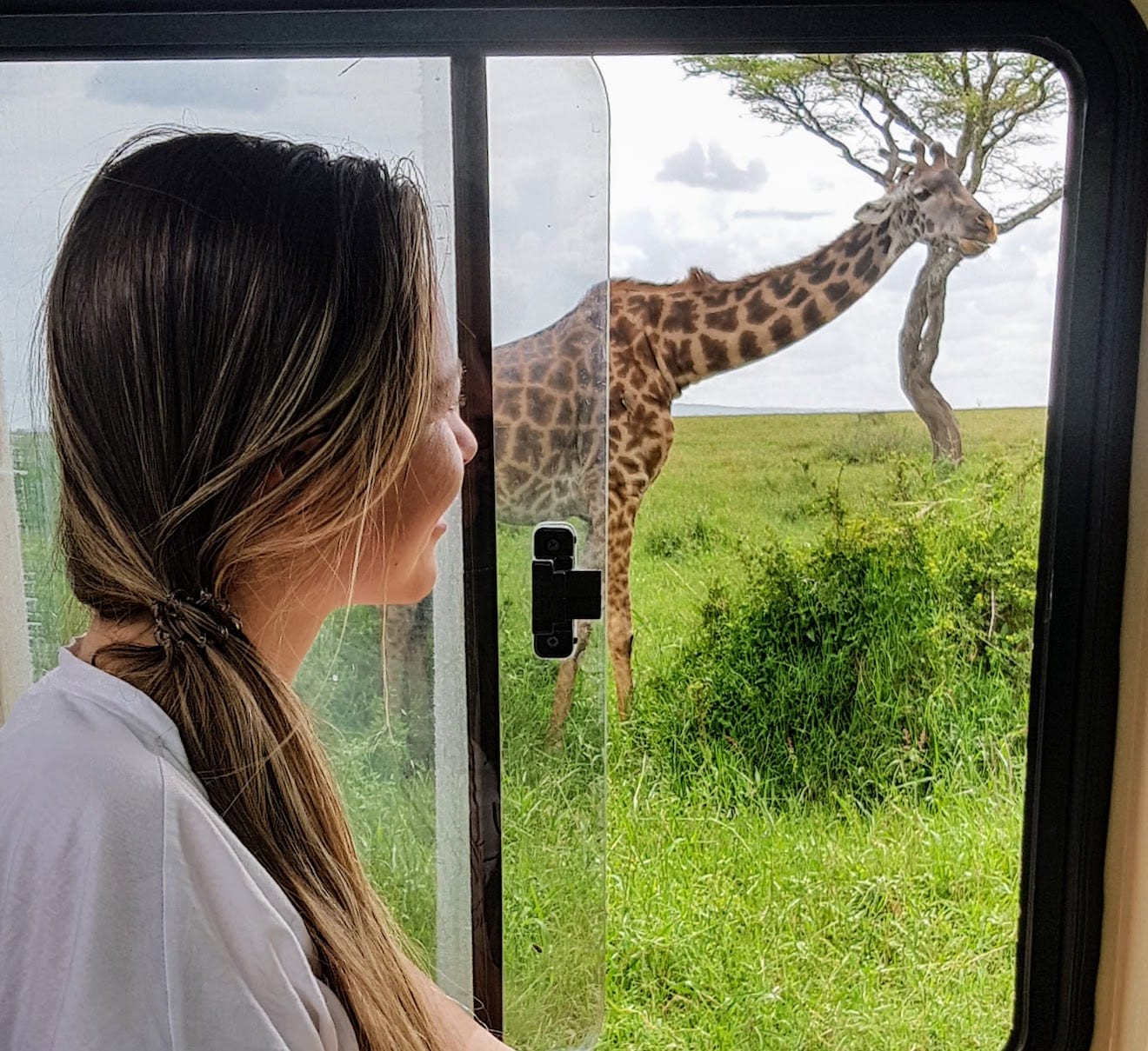 Giraffe safari tanzania jeep