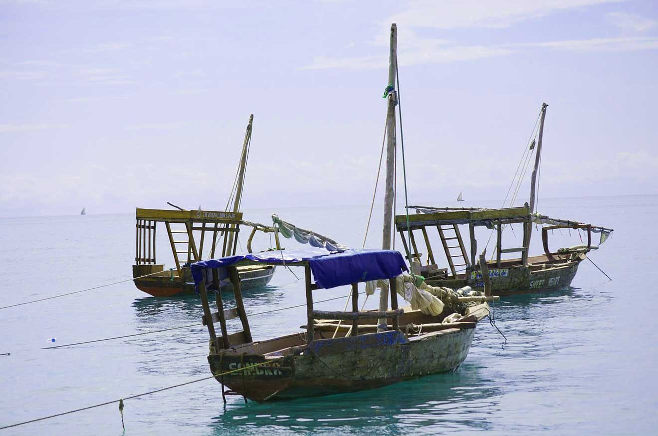 safari zanzibar