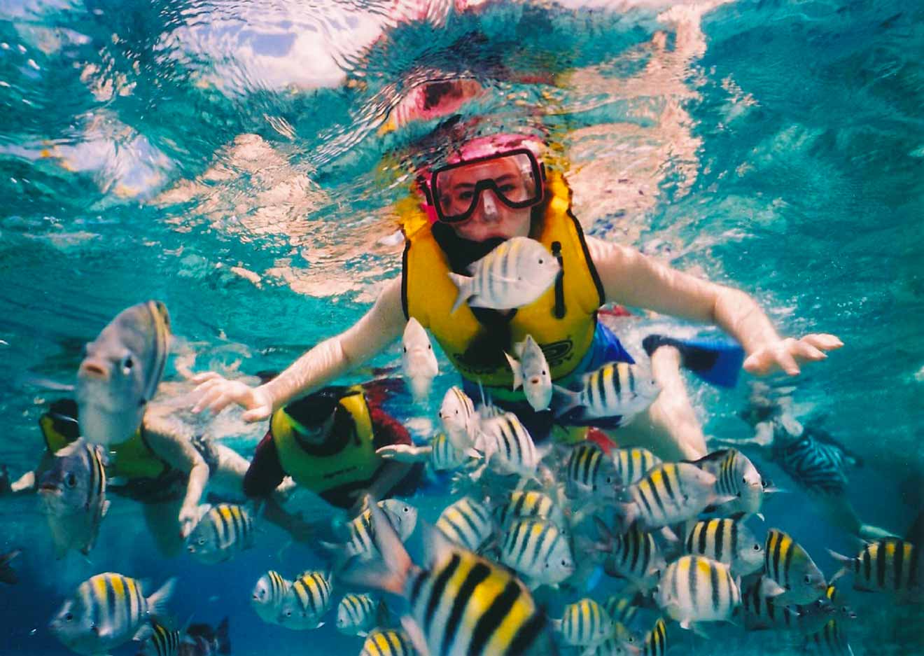 people snorkeling in a reef with fish