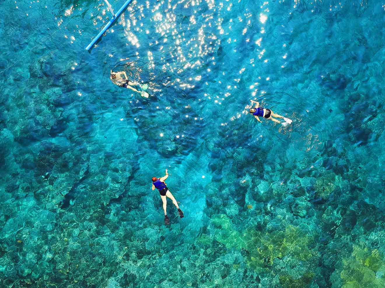 diving zanzibar