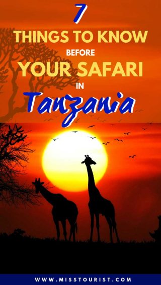 perfect safari trip tanzania