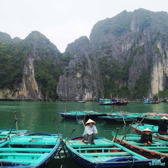 Night Squid Fishing in Halong - Halong Bay Tours