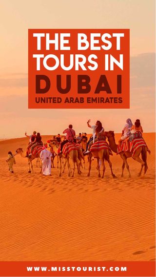 guided tour on camels