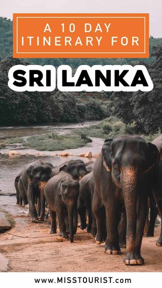 SriLankaPin1