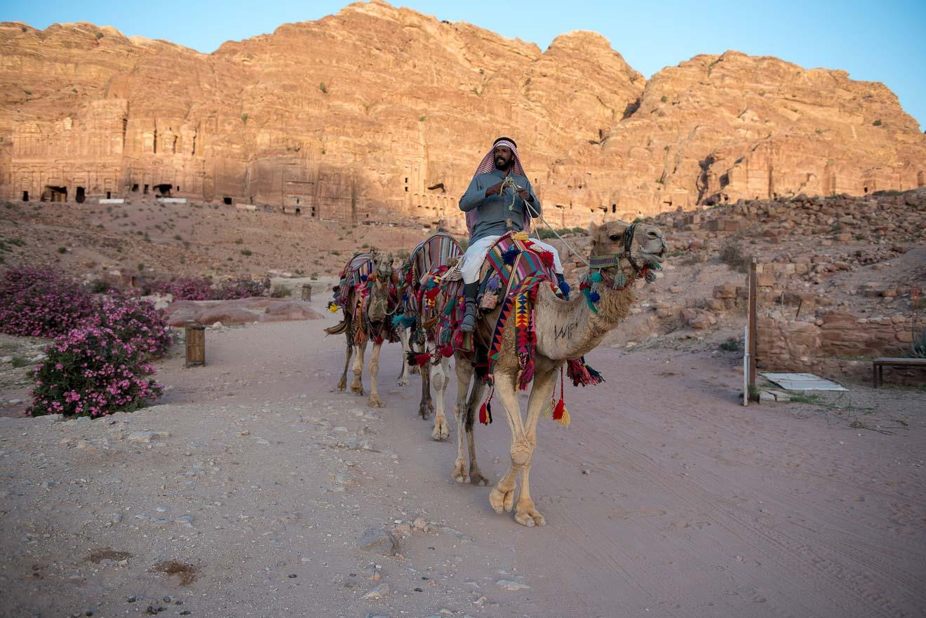 Renting a Car in Jordan 7 Things You Should Know Before You Go