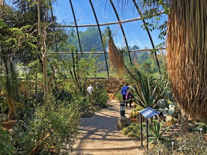 visit zurich botanical garden exotic plants