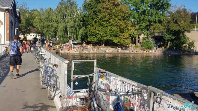 zurich lake trees