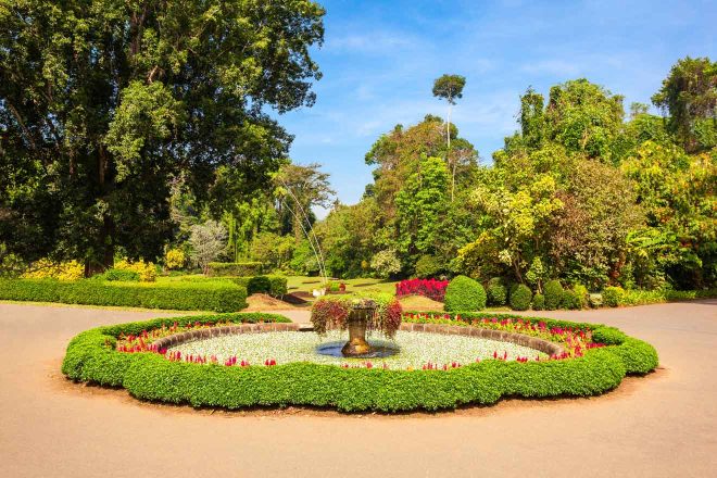 kandy botanical garden