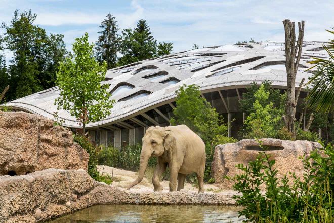 zoo in swiss