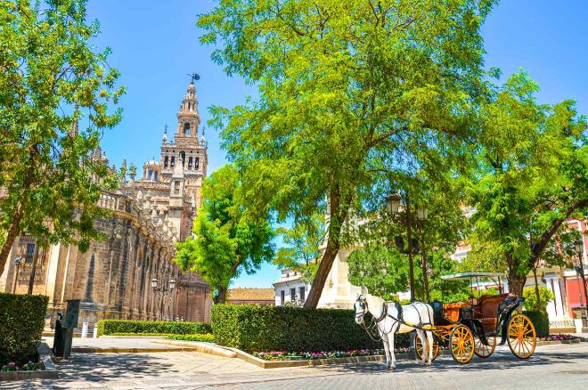 seville city, where to stay in Sevilla