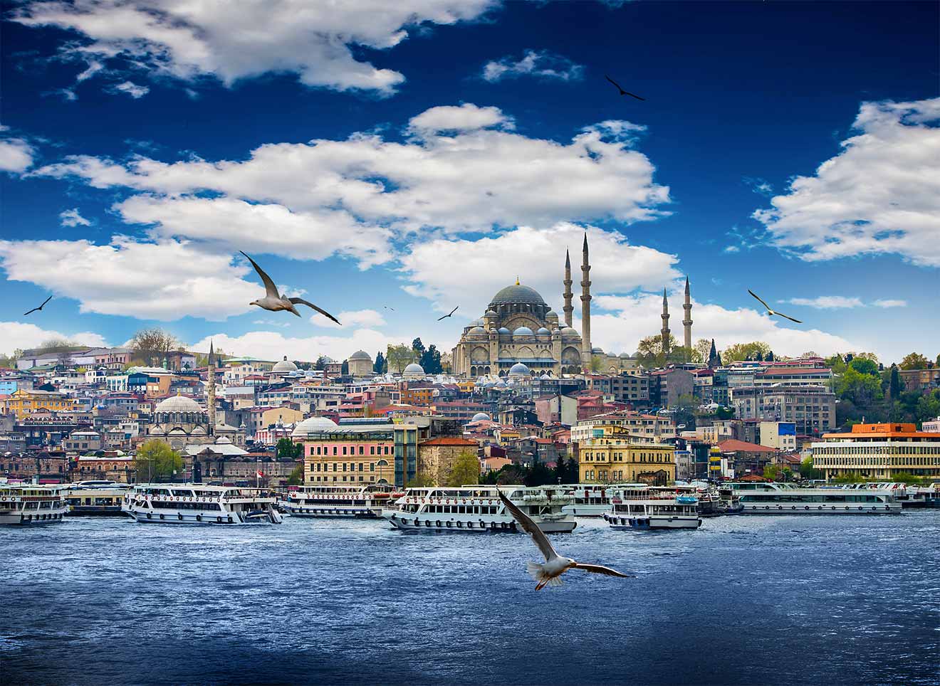 A panoramic view of Istanbul, showcasing the Suleymaniye Mosque towering over the cityscape, with seagulls flying over the Bosphorus and numerous boats docked along the quay under a partly cloudy sky.