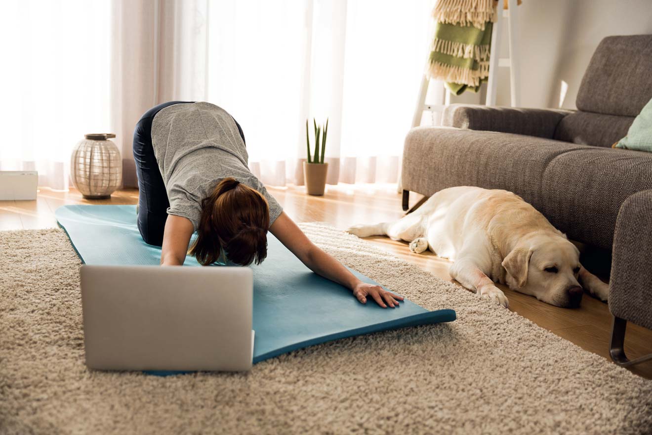 A person doing a yoga pose on a mat in a living room with a laptop nearby, while a large dog lies on the carpeted floor next to them.