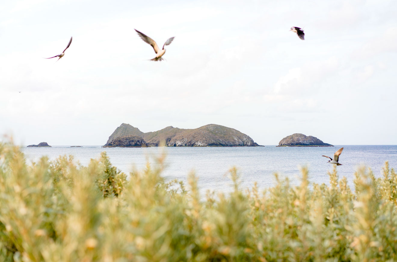 Admiralty Islands Lord Howe Island Australia