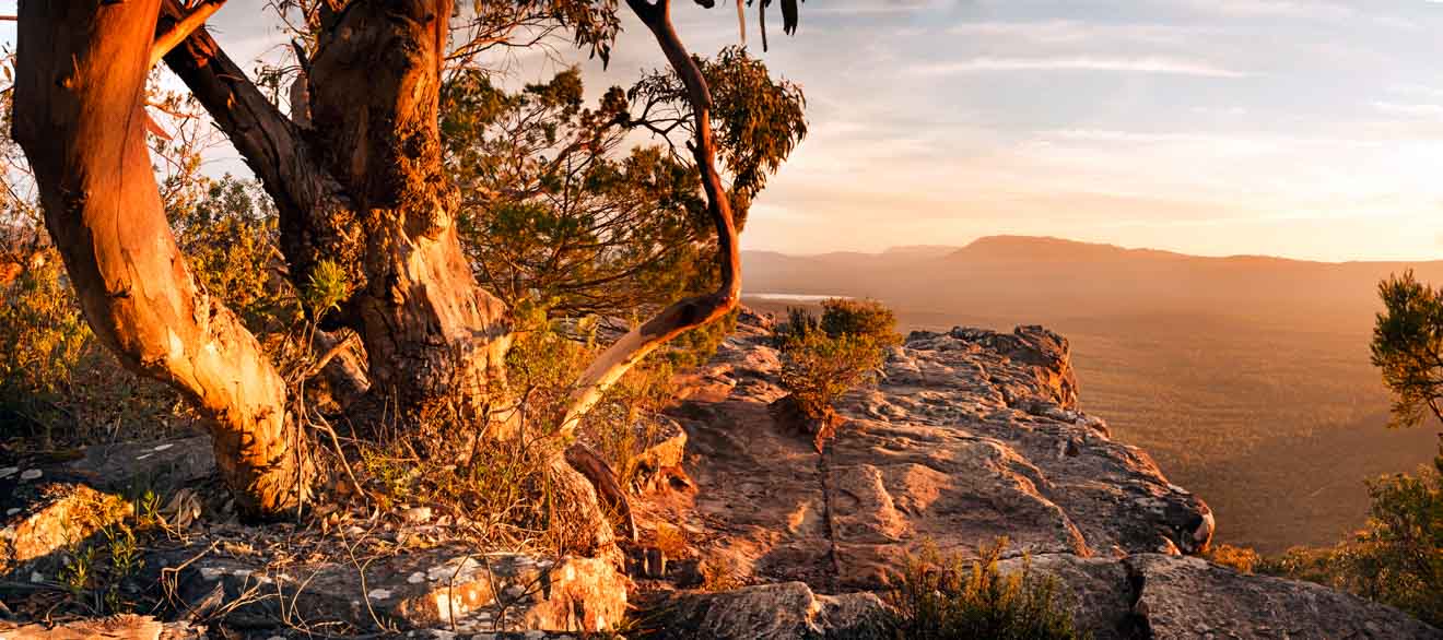 Grampians hiking tour - Australian Bush landscape Grampians National Park