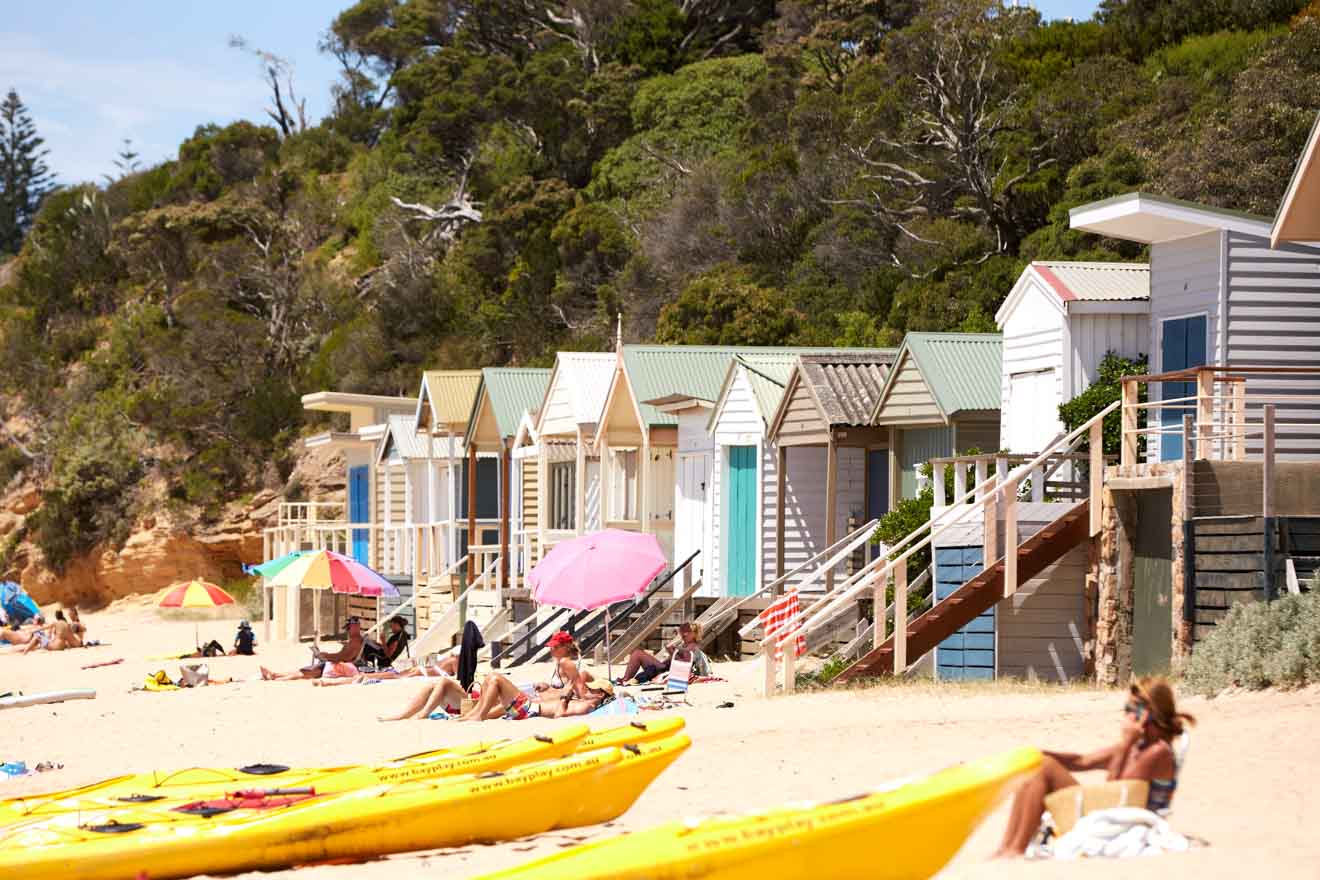 mornington peninsula accommodation - Bathing Boxes Things to do in Mornington Peninsula