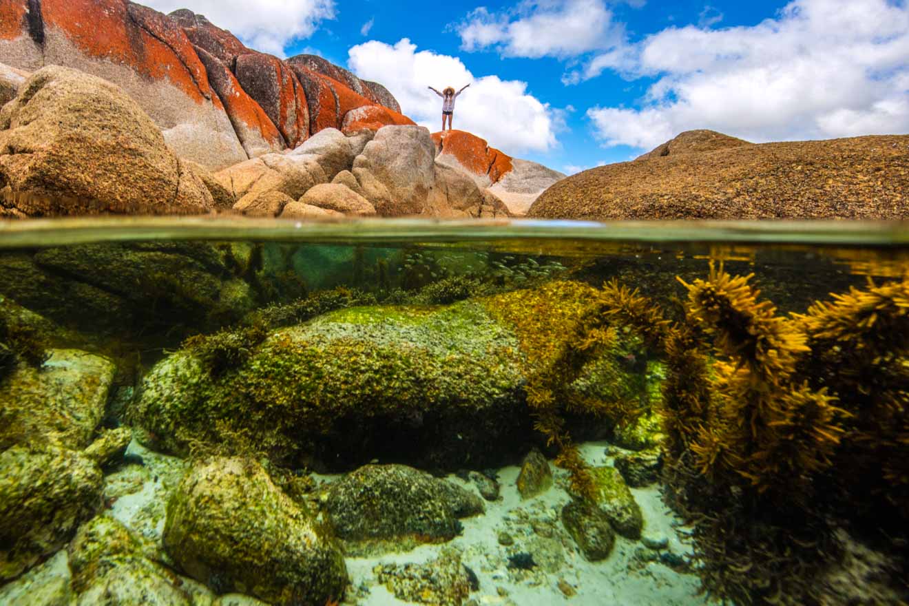 Bay of Fires tasmania Best View