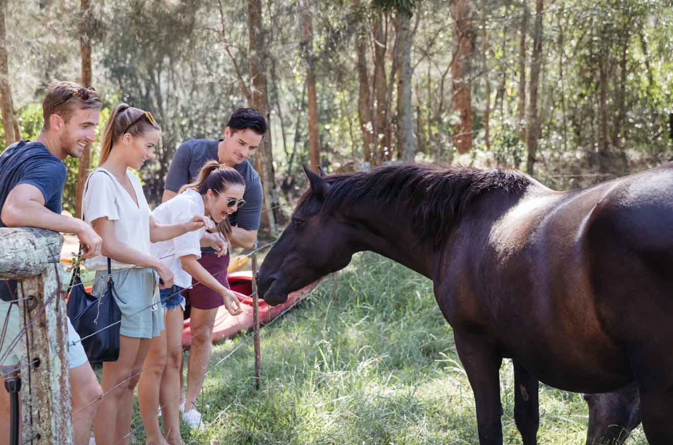 Central Coast Glenworth Valley Horse riding