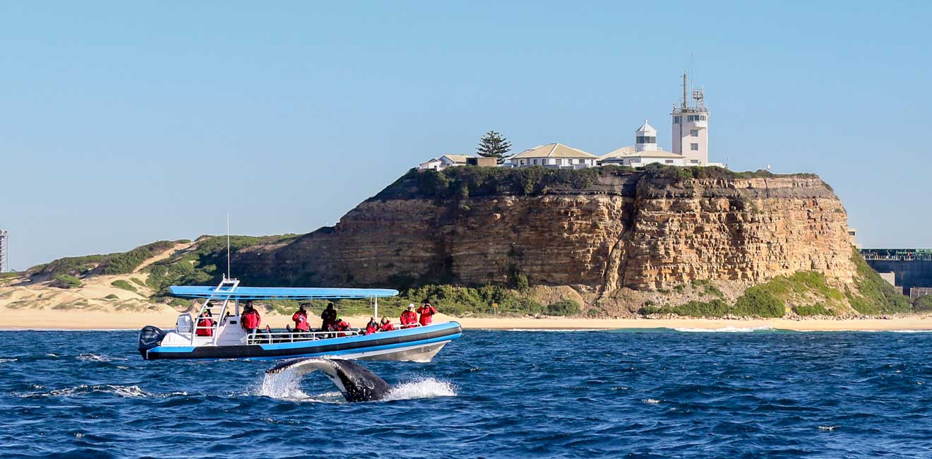 Coast XP Tours Newcastle NSW Australia