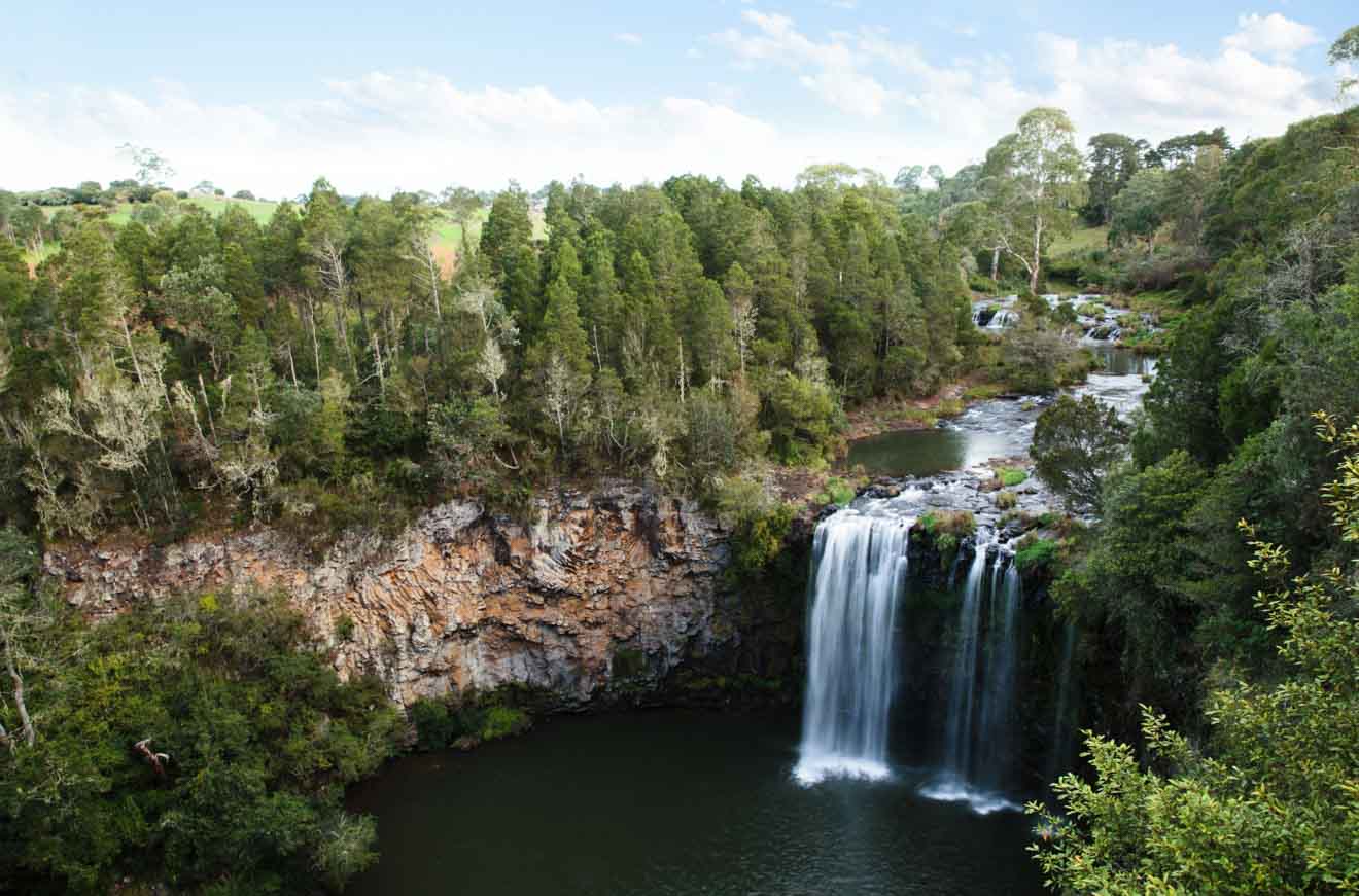 Dangar Falls, Dorrigo located on the North Coast. Coffs Harbour Dangar Falls