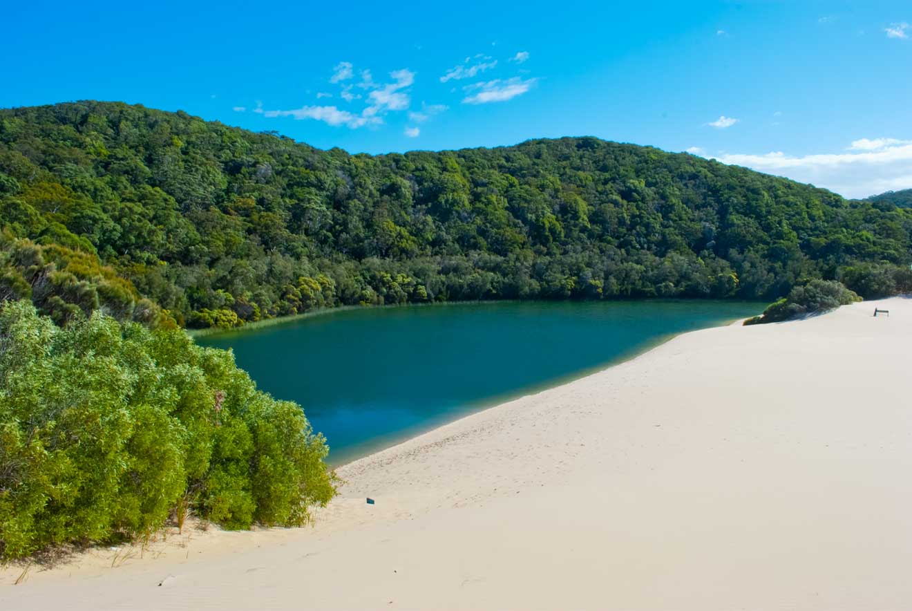 incredible coast things to do in fraser island