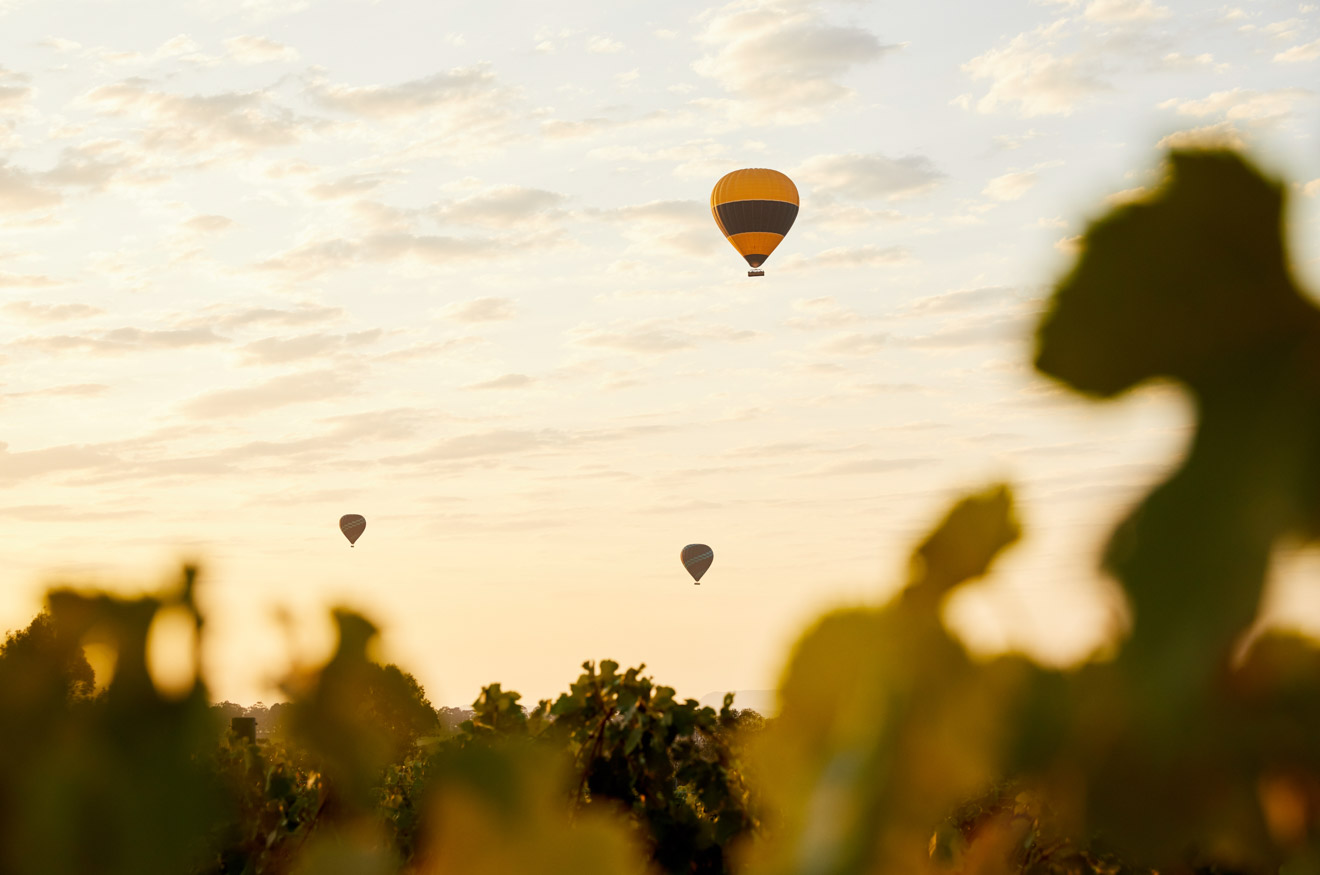 Hanging Tree Wines, Pokolbin, Hunter Valley air ballon