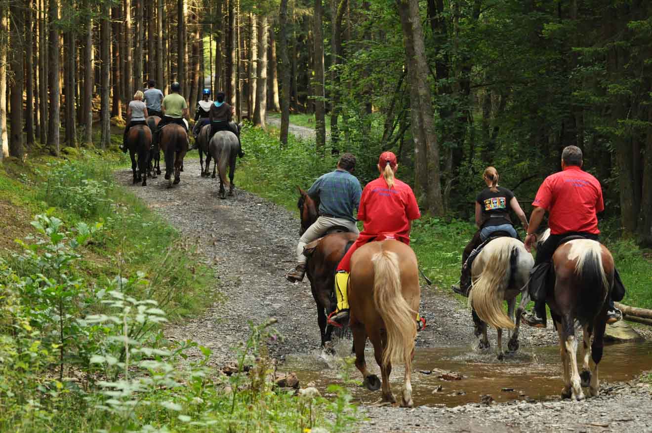 Horseriding Glenworth Valley NSW Australia