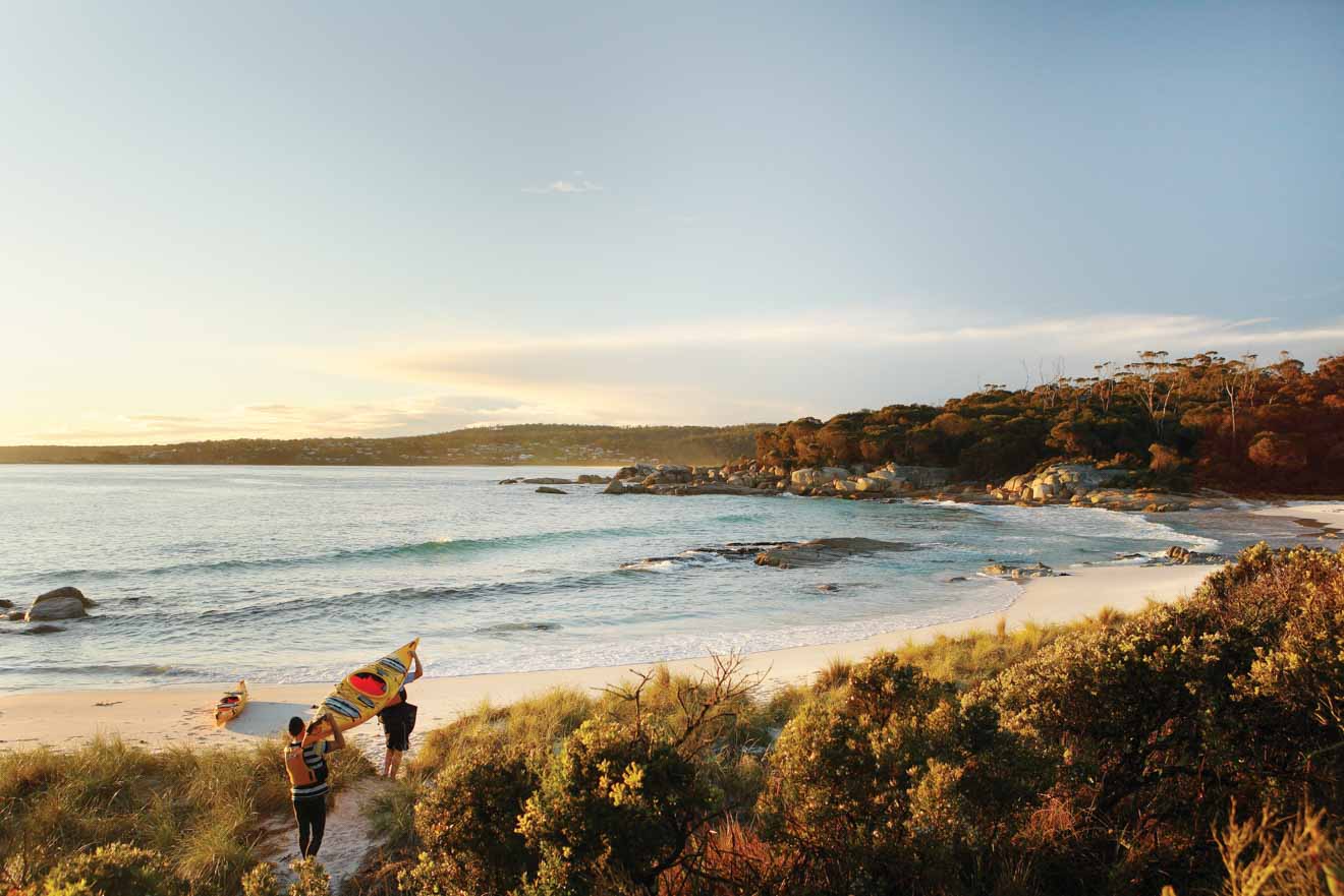 Jeanneret Beach Bay of Fires walks experience