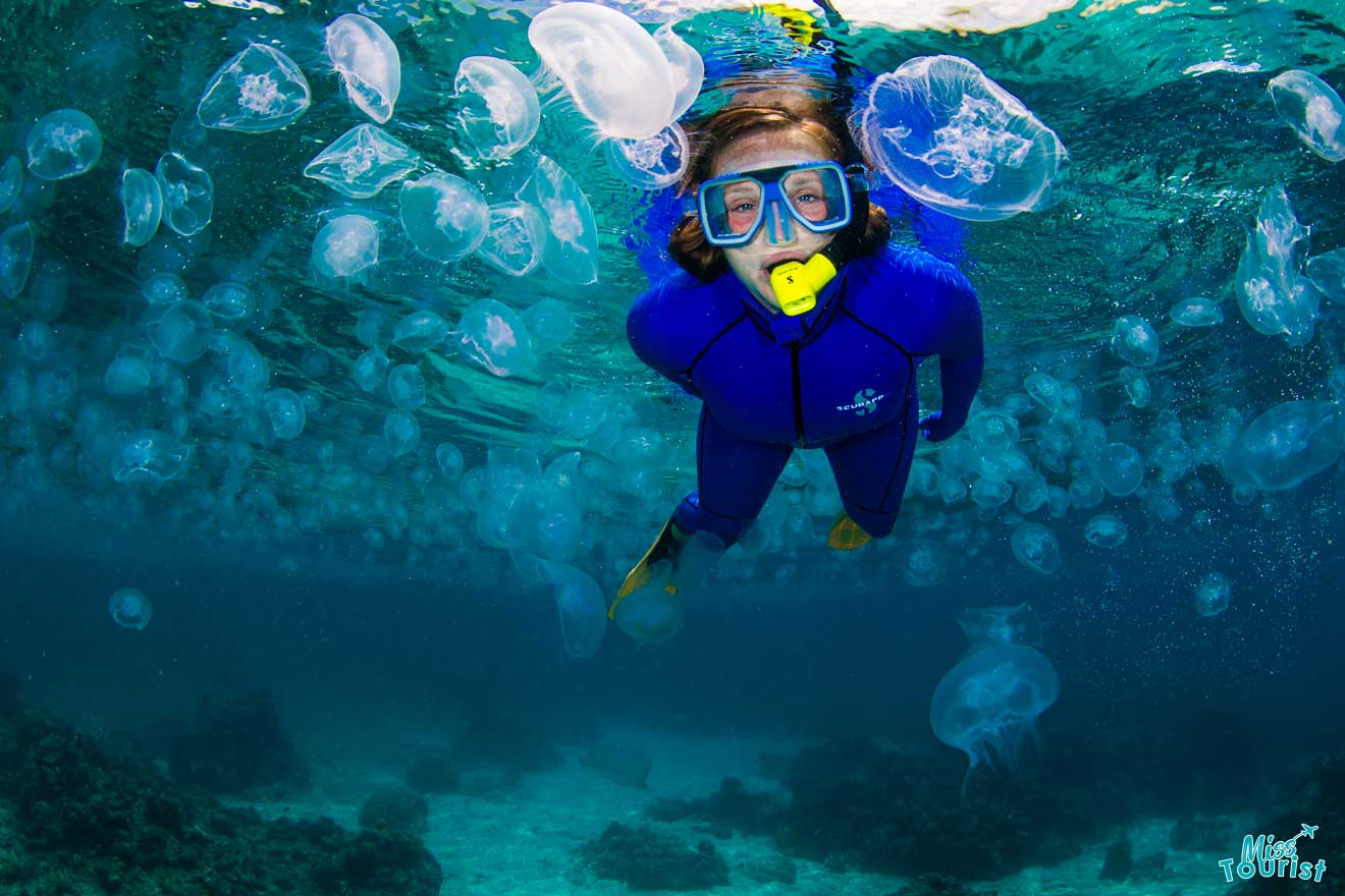 a woman under the water things to do in port douglas