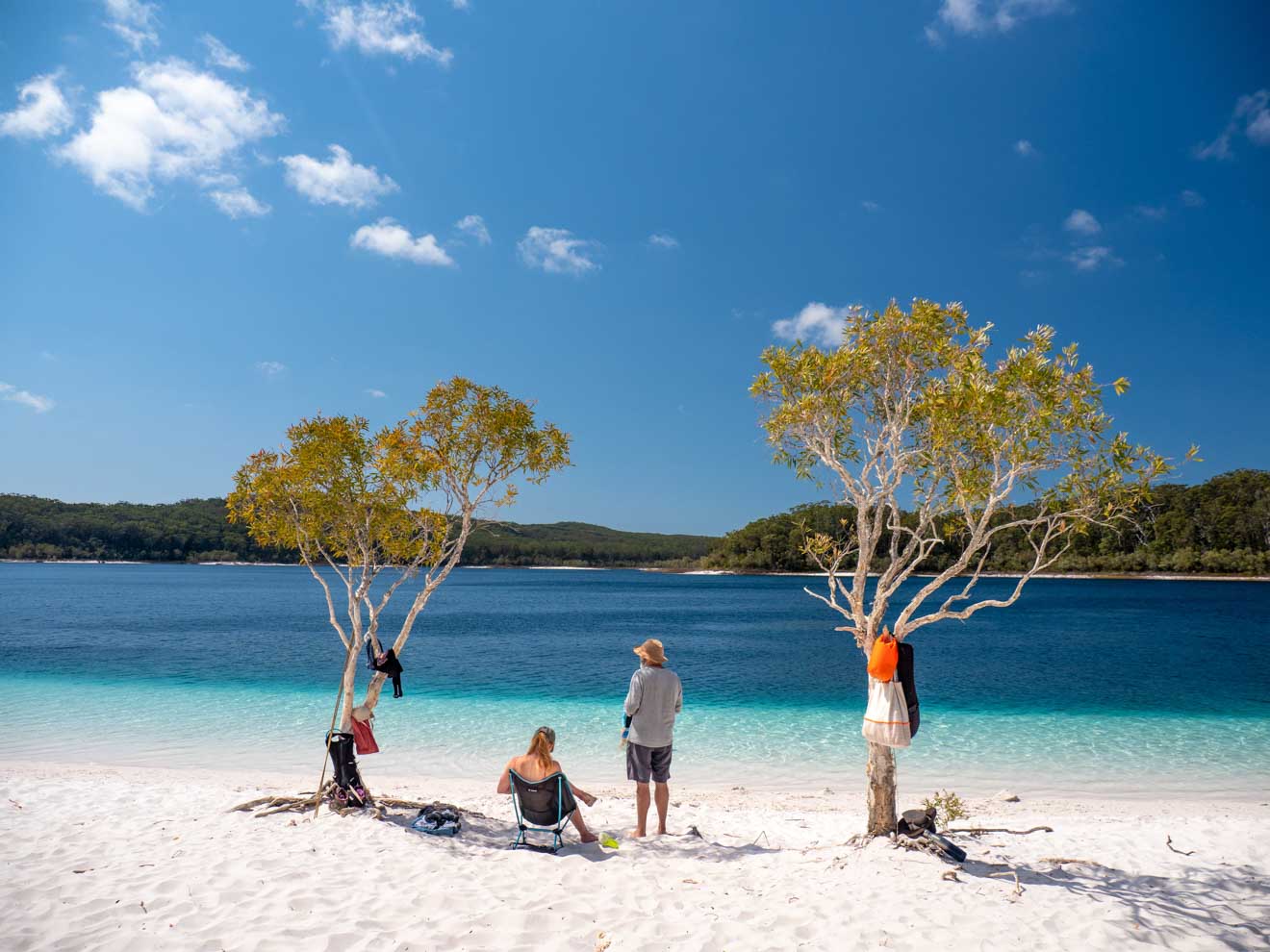 lake mckenzies things to do in sunshine coast