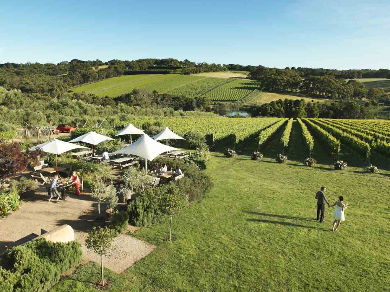 date ideas - Montalto Vineyard and Olive Grove Things to do in Mornington Peninsula