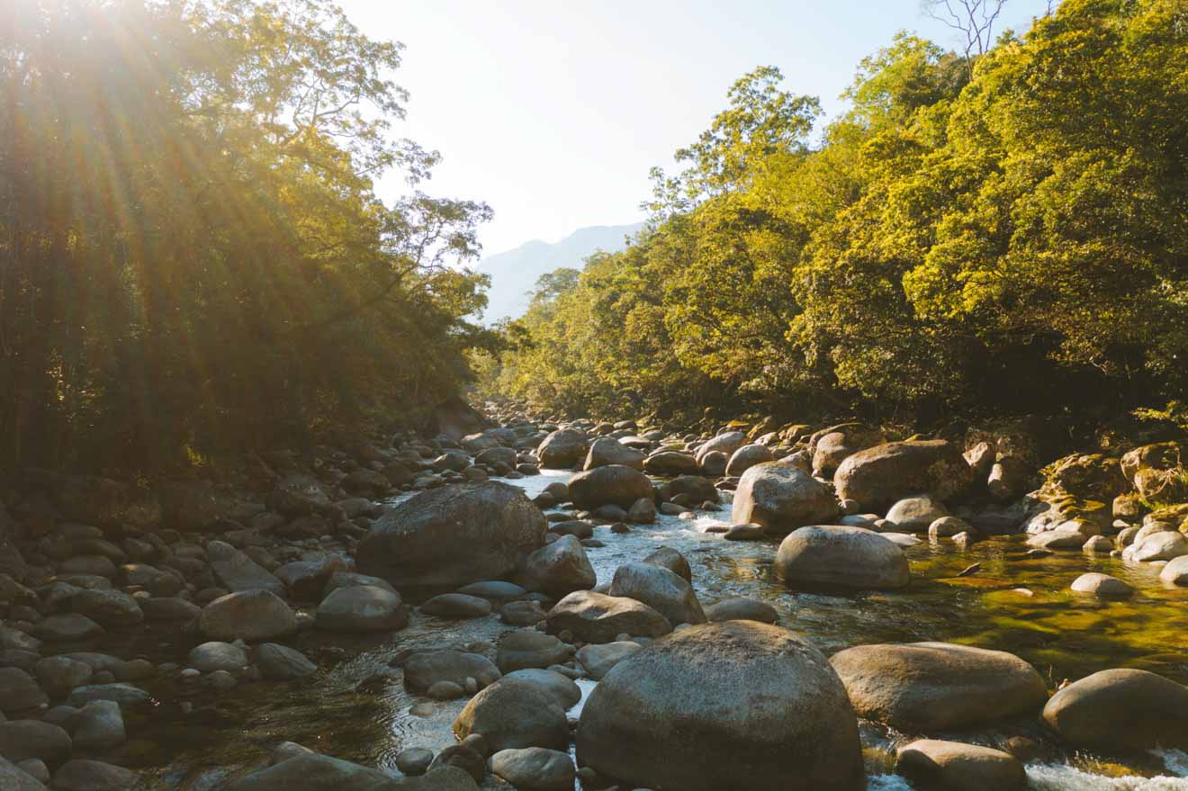 the daintree national park things to do in port douglas