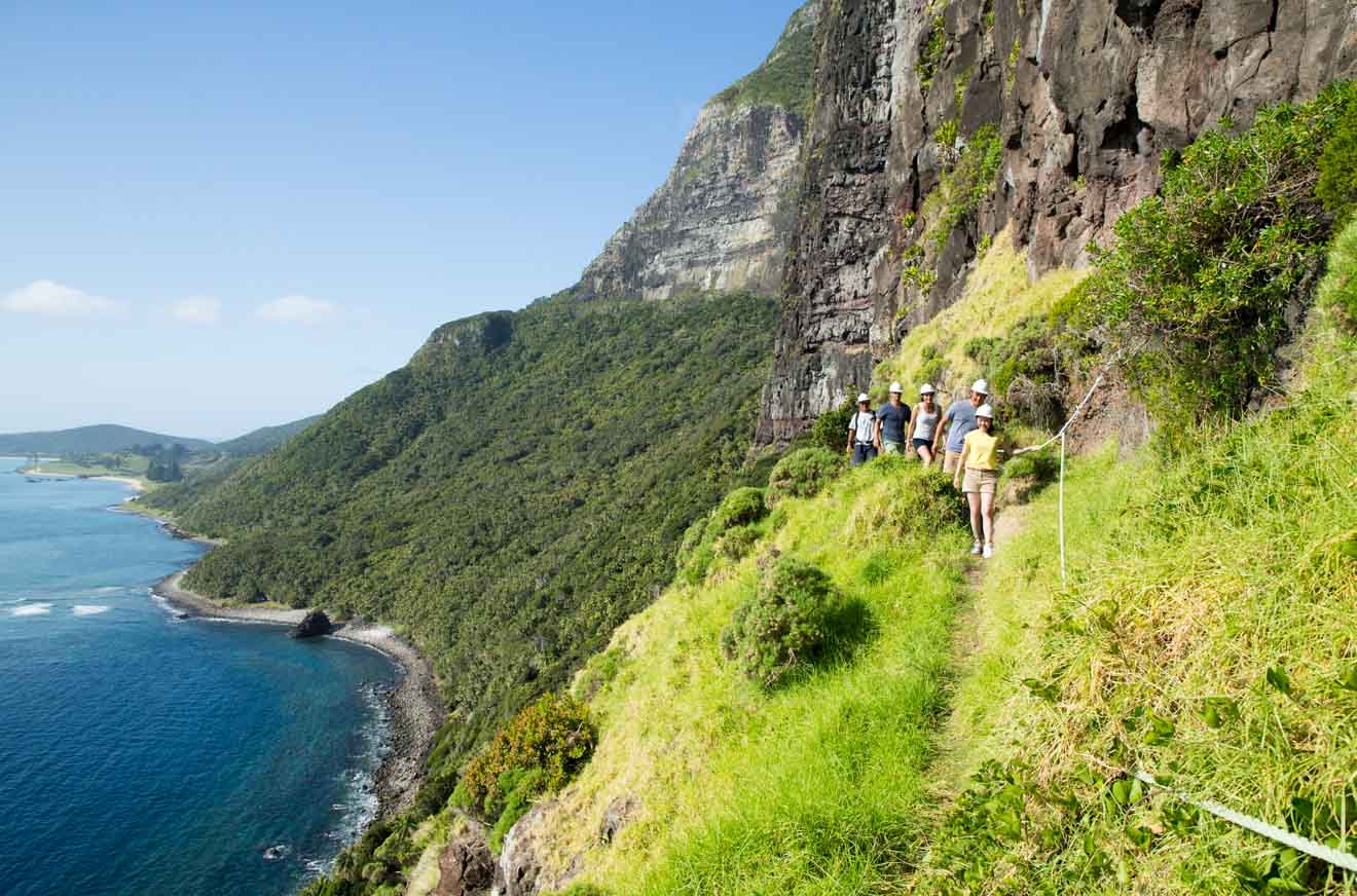 Mount Gower Lord Howe Island trails hiking