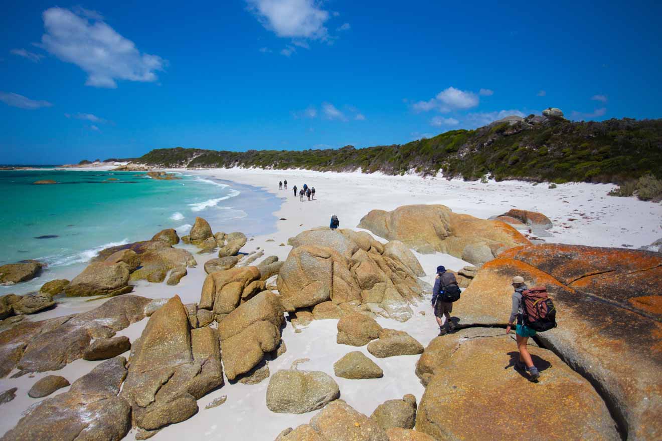 Mt William National Park Bay of Fires walks and hiking tour