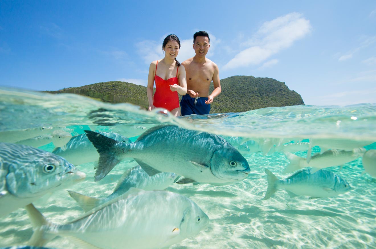 Neds Beach Lord Howe Island things to do