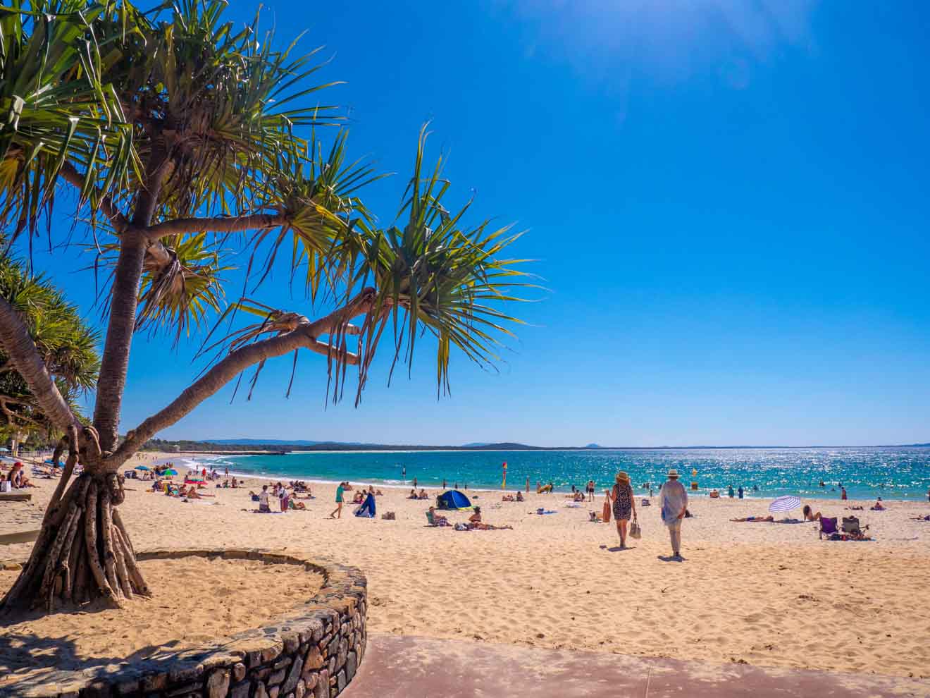 noosa main beach in sunshine coast