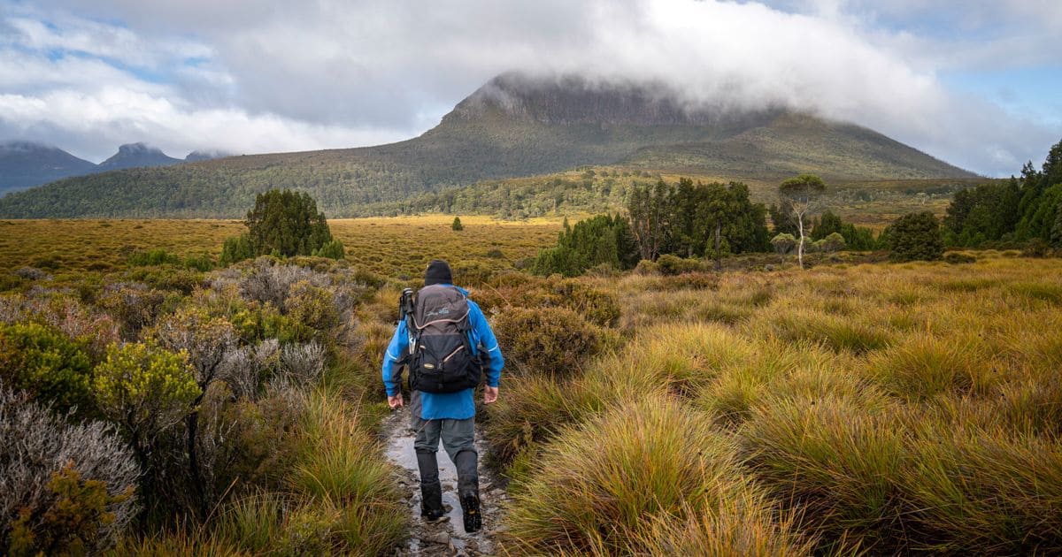 Overland track shop guided walks