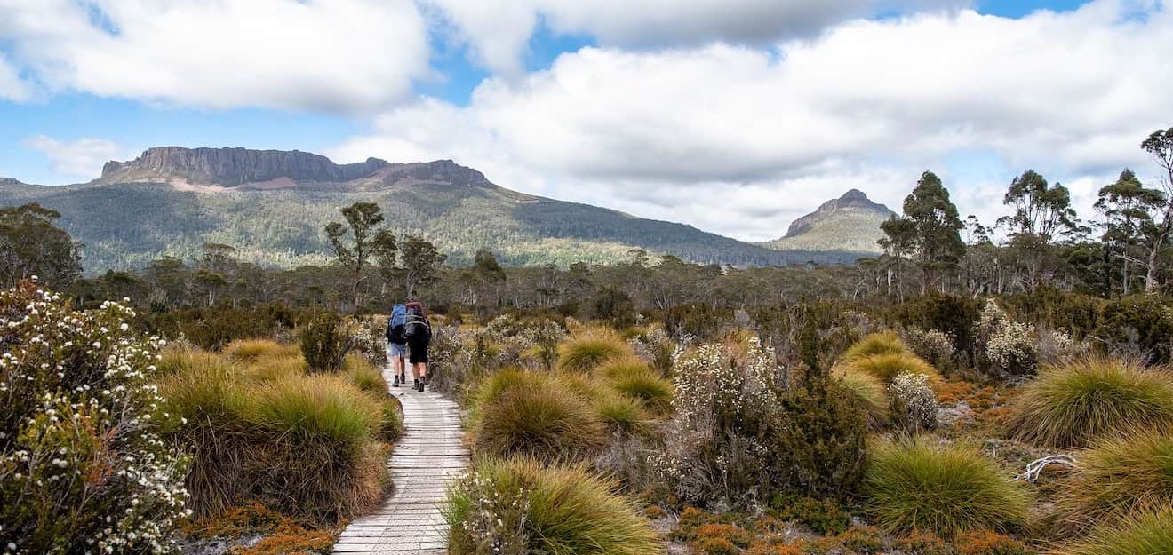 Overland track hotsell guided walks